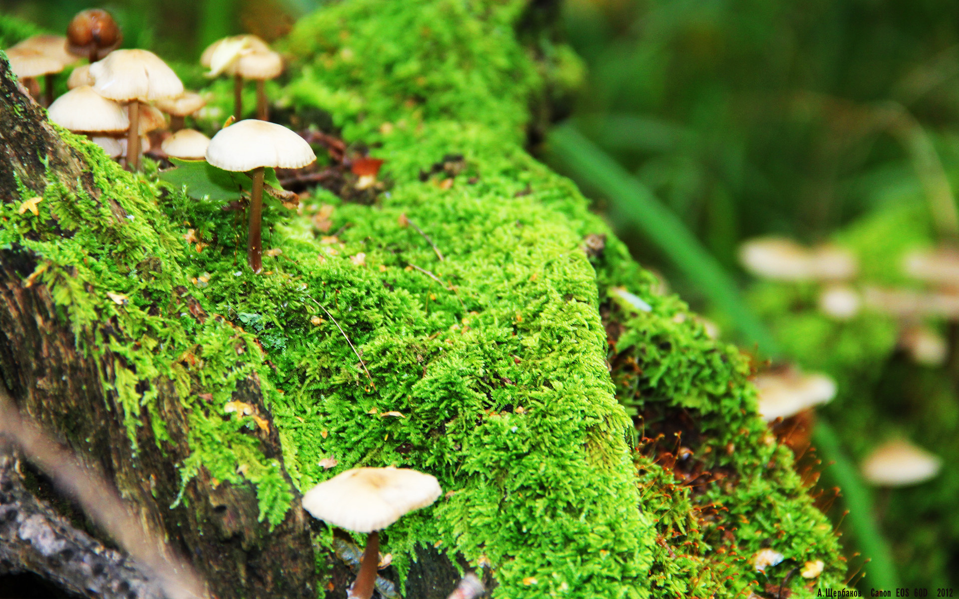 技术突破：球员“天赋”背后的训练秘密，球员突破技巧