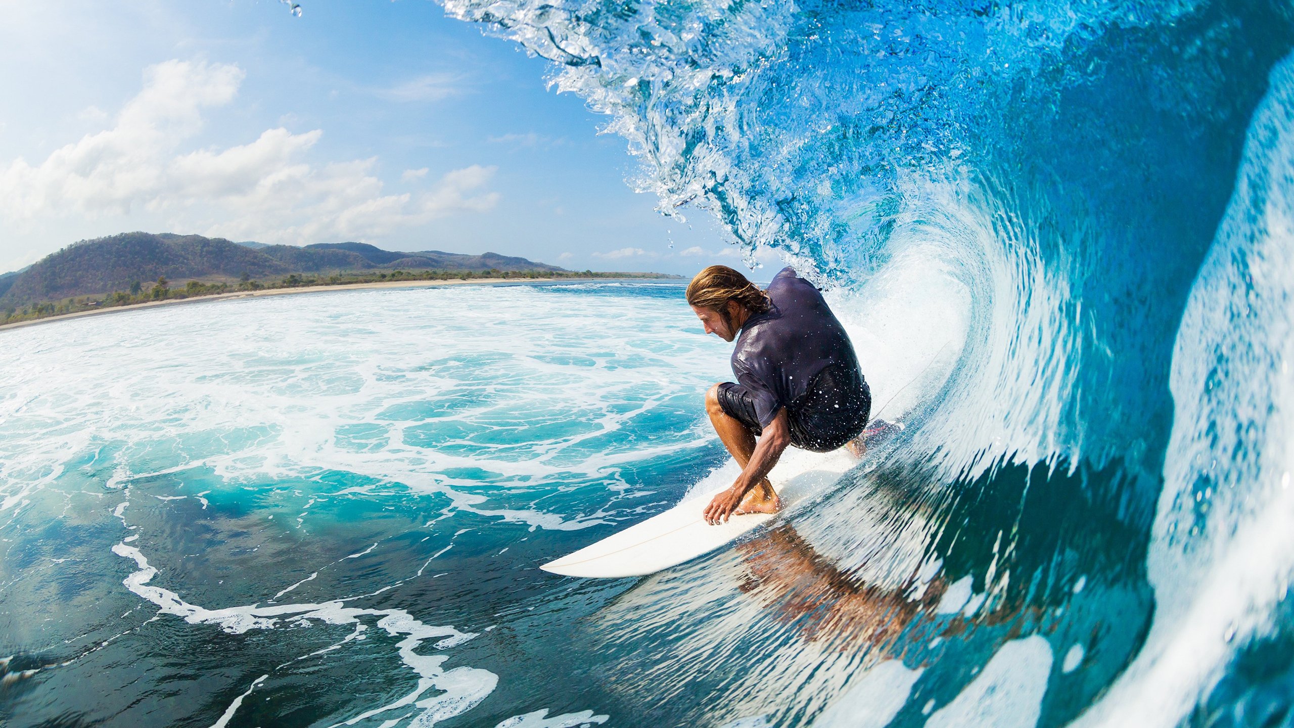 决赛焦点：普里戈达蛙泳起跳精准