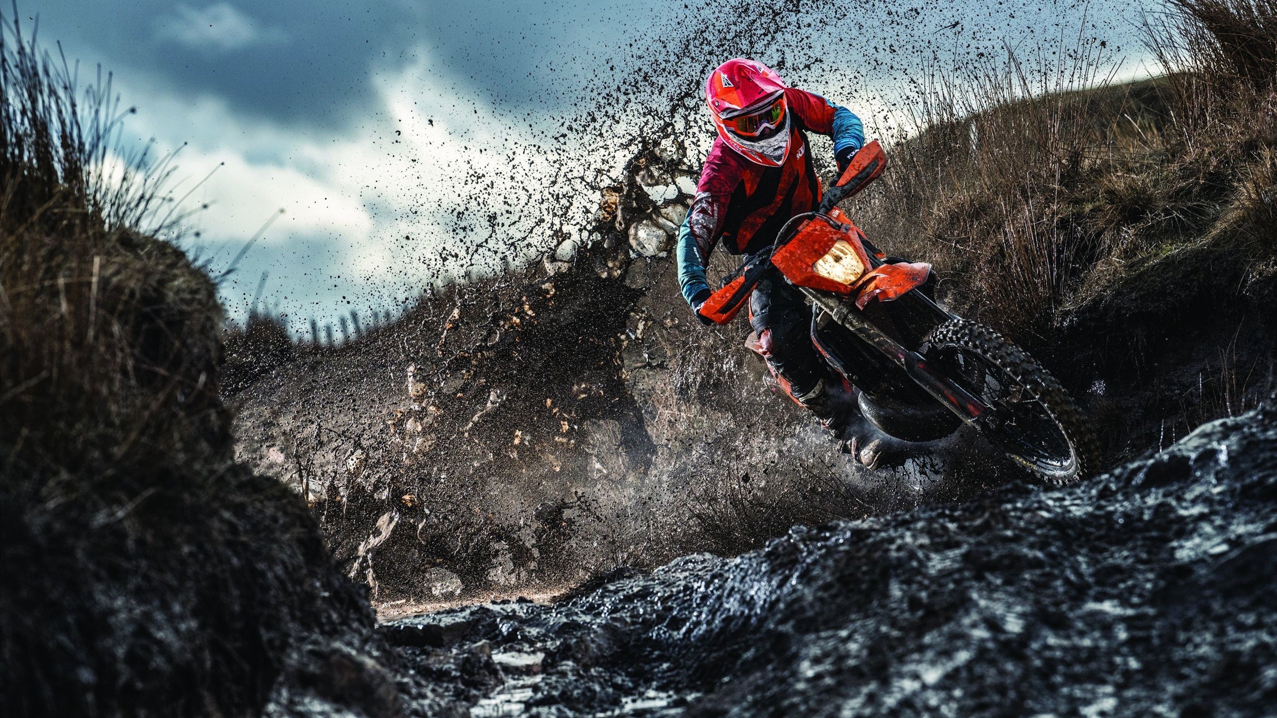 自由泳大战南非女将强势出击，自由泳大师