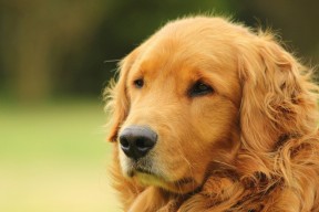 开云体育登陆入口-“奇迹完成！弱旅逆袭强队，冠军梦再起”