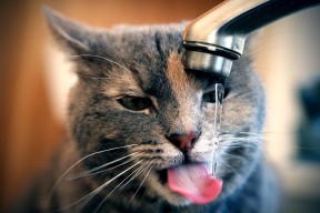 开云中国大陆-_未来运动配件：智能手环、动力鞋全面升级_，智能运动手环怎么使用教程