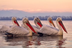 开云官网-依托互联网平台，打造线上足球社区，线下足球