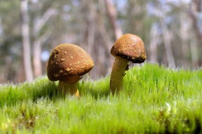 kaiyun-上海国际篮球青年赛吸引多国青年队参赛，2021上海青少年篮球锦标赛